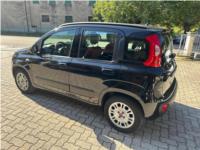 FIAT, PANDA 1,2 LOUNGE PDC OK NEOPATENTATI